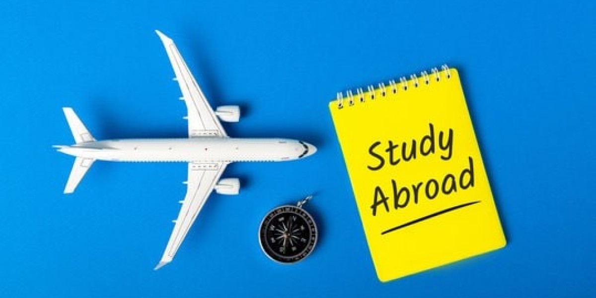 Choosing the Best Overseas Study Consultants in Delhi NCR – A Complete Guide