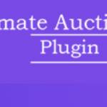 Auction Plugin Pro