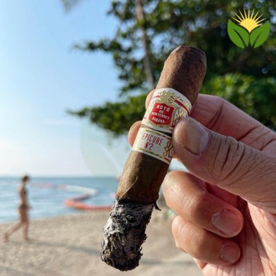 Hoyo de Monterrey Epicure No. 2 Profile Picture