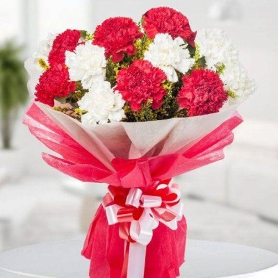 Carnations Carols YuvaFlowers Profile Picture